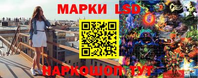 ешки Ставрополь