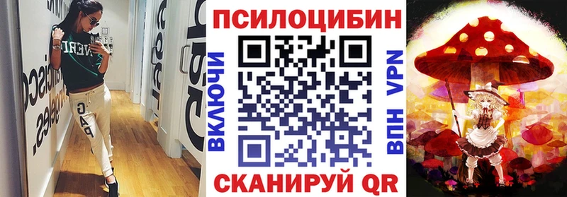 Псилоцибиновые грибы Psilocybine cubensis  Нижневартовск 