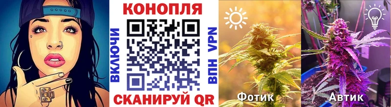 Конопля план  Нижневартовск 